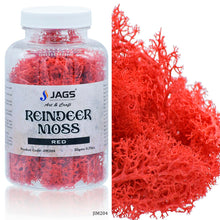 Load image into Gallery viewer, Reindeer Moss 20 Grms