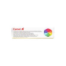 Load image into Gallery viewer, Camlin Kokuyo Premium Poster Color - 10ml Each, 12 Shades