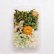 Load image into Gallery viewer, Dry Flowers for Art & Craft random design