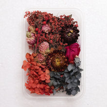 Load image into Gallery viewer, Dry Flowers for Art & Craft random design