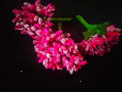 Pollens- D Pink
