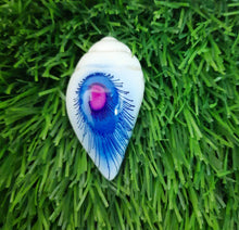 Load image into Gallery viewer, Beads Shell model
