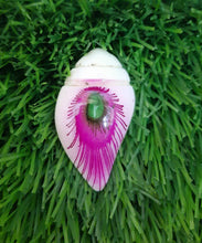 Load image into Gallery viewer, Beads Shell model