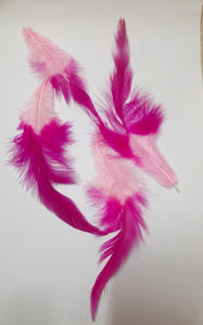 Feathers for Dream Catchers / Craft work- Long Tail -Dual Color- Feathers- 25pieces