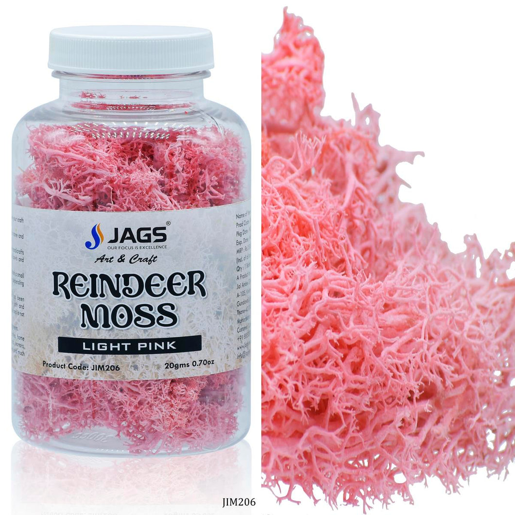 Reindeer Moss 20 Grms PINK- Resin art