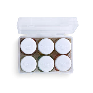 Camel Fabrica Acrylic Metallic Color - 10ml each, 6 Shades