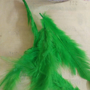 Feathers for Dream Catchers / Craft work- Long Tail -light Green- Feathers- 25pieces