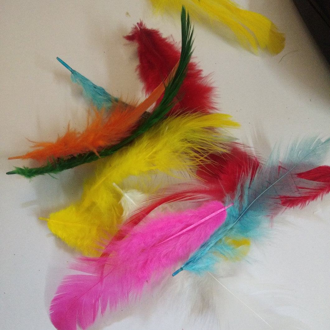 Feathers for Dream Catchers / Craft work- mixed color -Feathers only 25piece