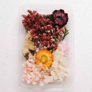 Dry Flowers for Art & Craft