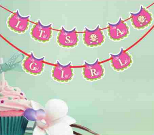 Baby Bips Banner (Its a Girl)- 1 Set/Baby Shower/Baby Celebrations