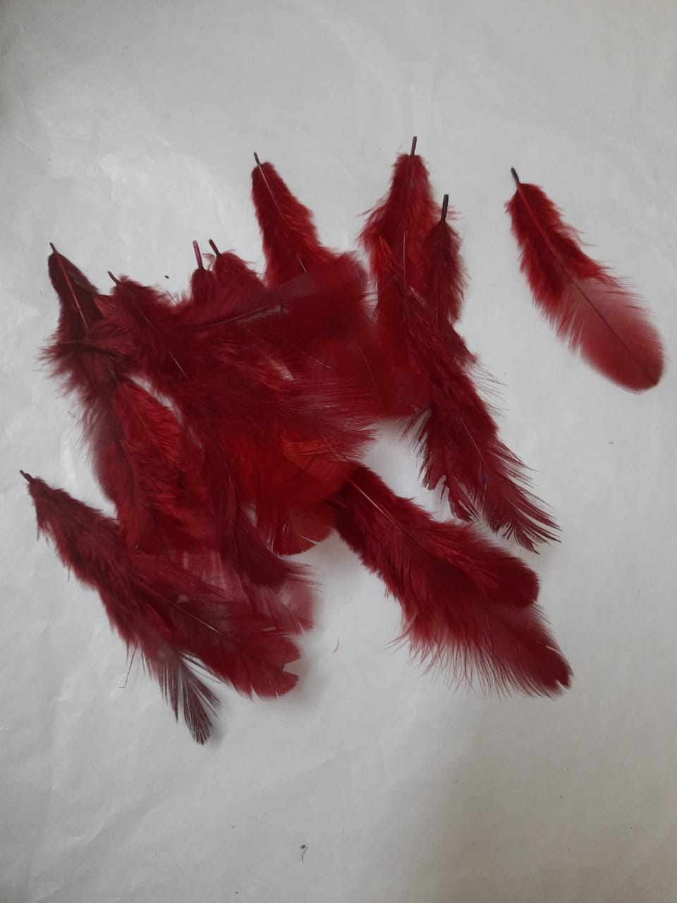 Feathers for Dream Catchers / Craft work- Maroon-Feathers only 25piece