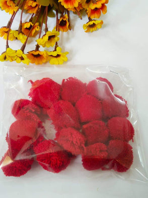 Pompom Big Size-Red Pom