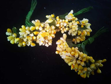 Pollens- Yellow