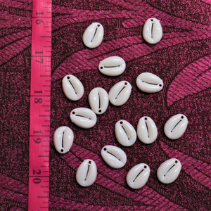 White Drilled Cowrie Seashells Shells with Hole 12 mm & 17 mm - For Jeweler/Accessories.