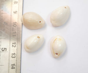 Drilled Cowrie Seashells Shells with 1Single Holes 10 mm- For Jeweler/Accessories.