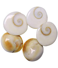Load image into Gallery viewer, Gomti Chakra 1 cm - Pack of 2

