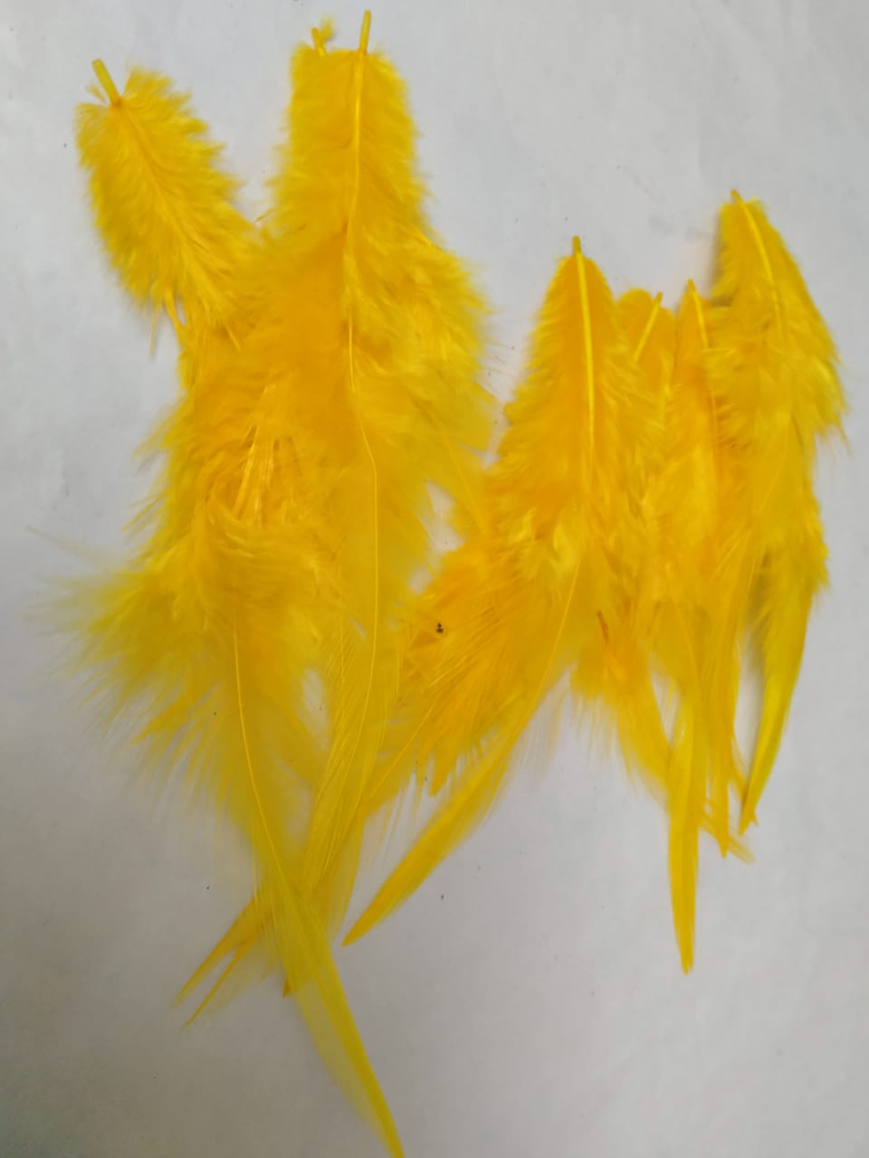 Feathers for Dream Catchers / Craft work- Long Tail - Yellow Feathers- 25pieces