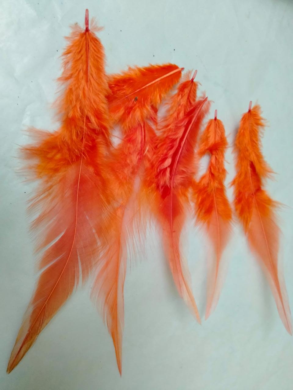 Feathers for Dream Catchers / Craft work- Long Tail -Orange- Feathers- 25pieces